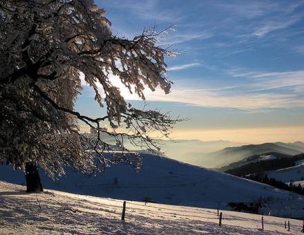 Wandern - Hotel Feuriger Tatzlwurm