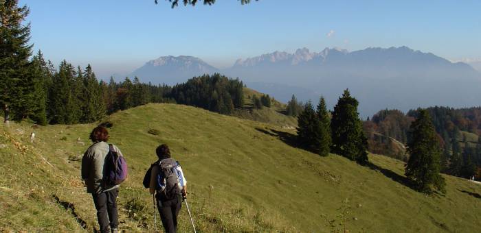 Wandern in den Bergen Bayerns