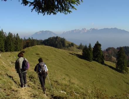 Wandern in den Bergen Bayerns