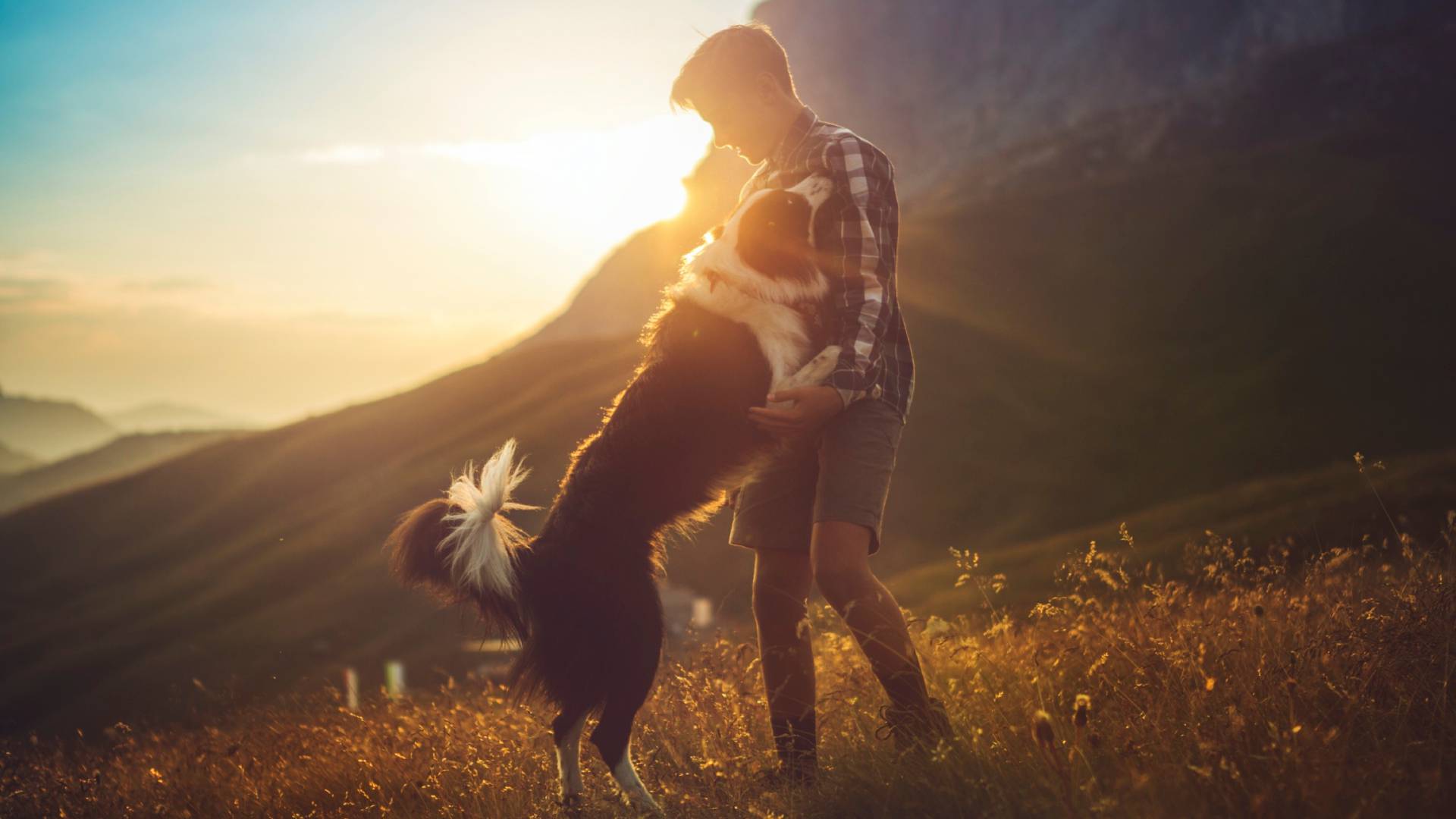 Urlaub mit Hund in den Bergen - Hund und Besitzer genießen den Sonnenuntergang